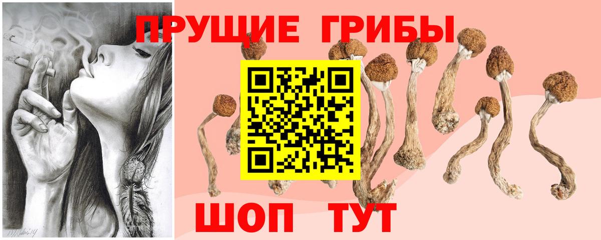 Галлюциногенные грибы GOLDEN TEACHER Советская Гавань