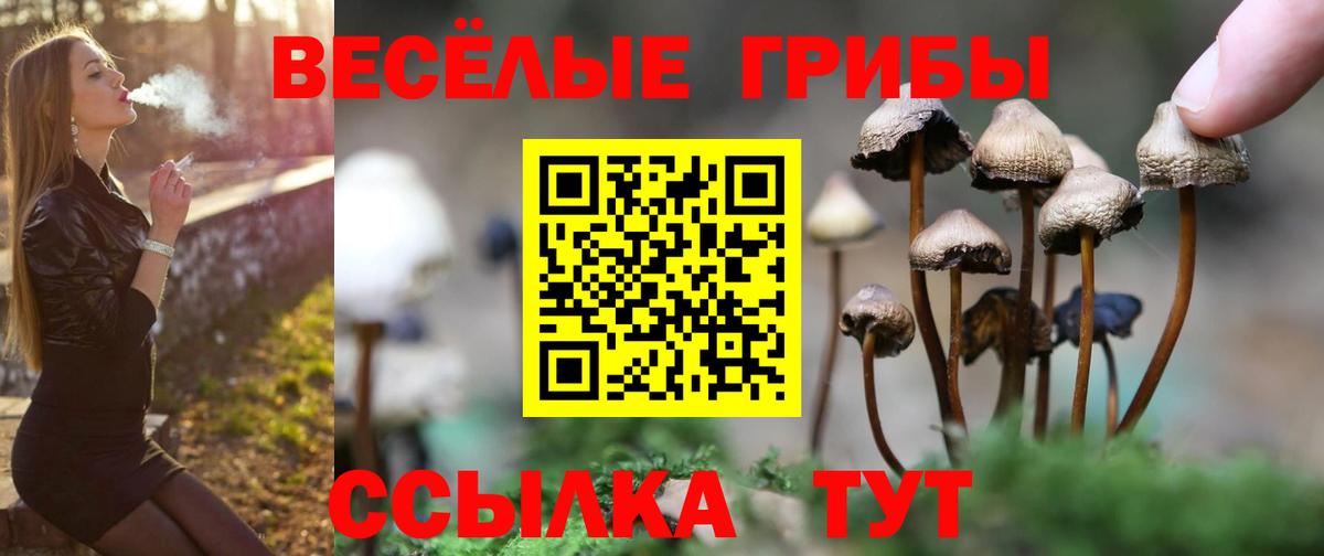 Советская Гавань  Псилоцибиновые грибы мухоморы  Вход с VPN  Галлюциногенные грибы ЛСД 